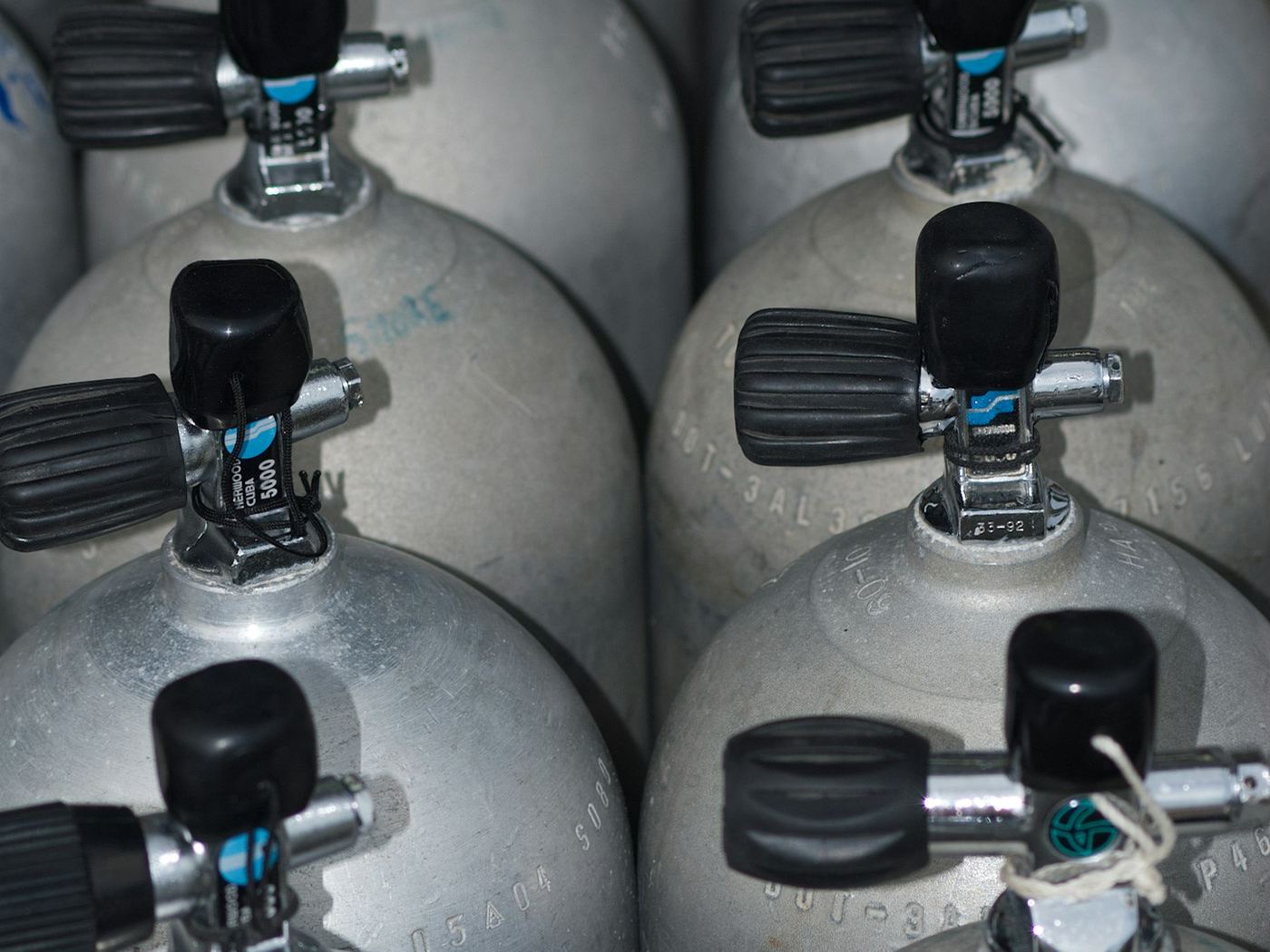 Dive cylinders racked for inspection